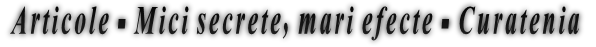 Articole - Mici secrete, mari efecte - Curatenia Articole - Mici secrete, mari efecte - Curatenia
