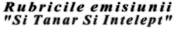 Rubricile emisiunii "Si Tanar Si Intelept"
