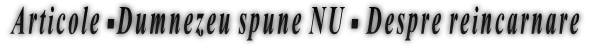 Articole -Dumnezeu spune NU - Despre reincarnare